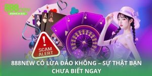 888NEW Có Lừa Đảo Không
