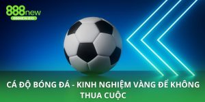 Cá độ bóng đá