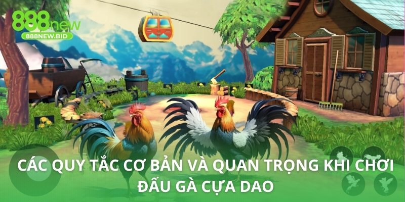 Các quy tắc cơ bản và quan trọng khi chơi đấu gà cựa dao