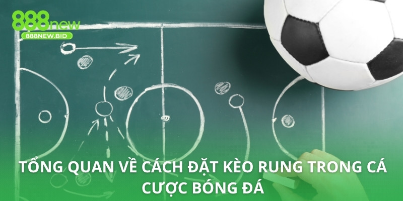 Tổng quan về cách đặt kèo rung trong cá cược bóng đá