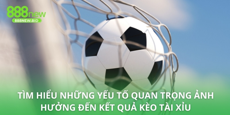 Tìm hiểu những yếu tố quan trọng ảnh hưởng đến kết quả kèo tài xỉu
