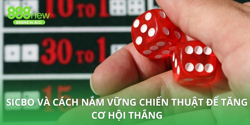 Sicbo và cách nắm vững chiến thuật để tăng cơ hội thắng